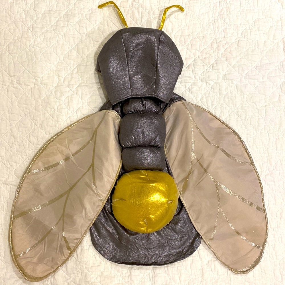 Pottery Barn Kids Light Up Firefly Costume Size 4-6